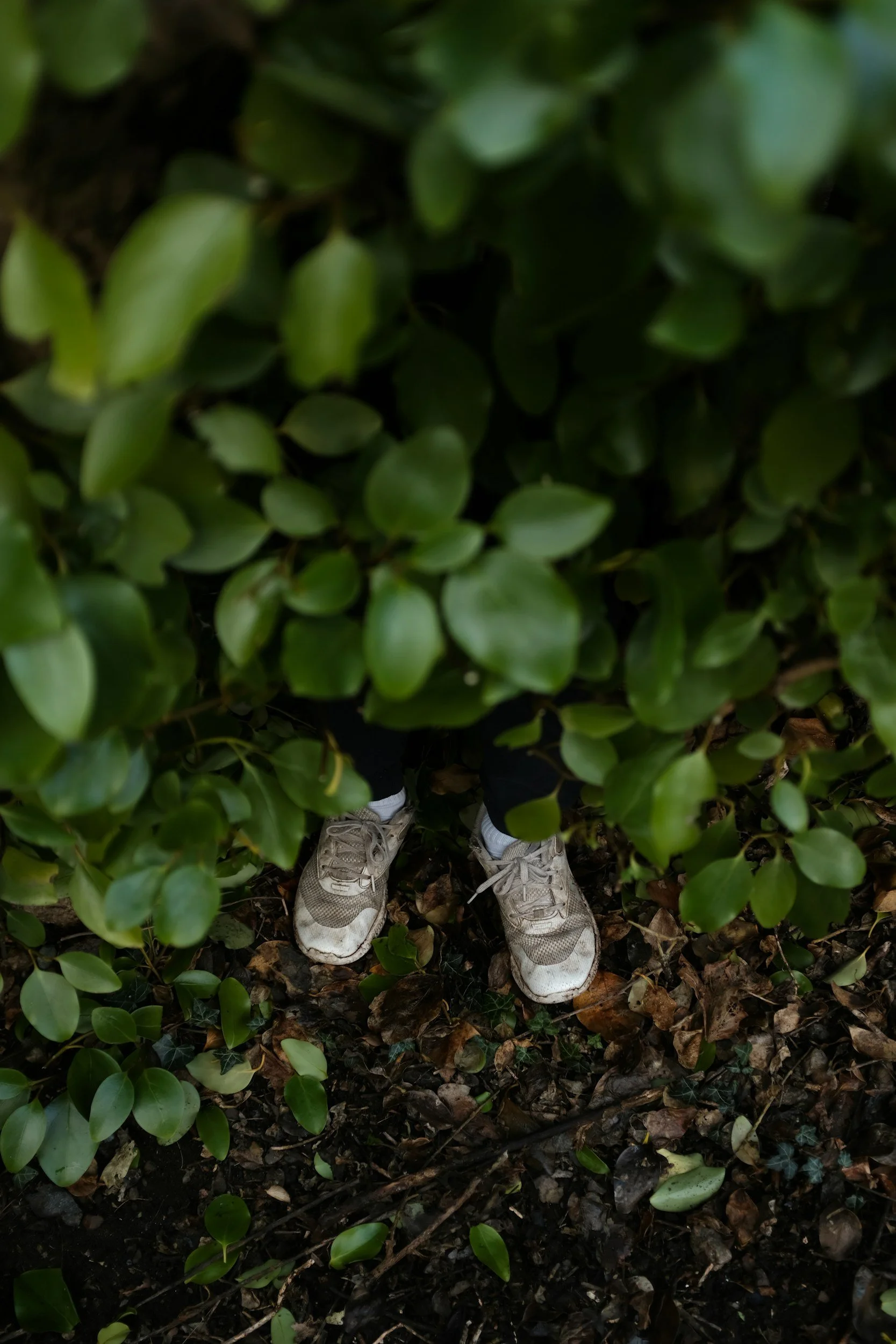 Episode 128 - When Understanding Becomes a Hiding Place
