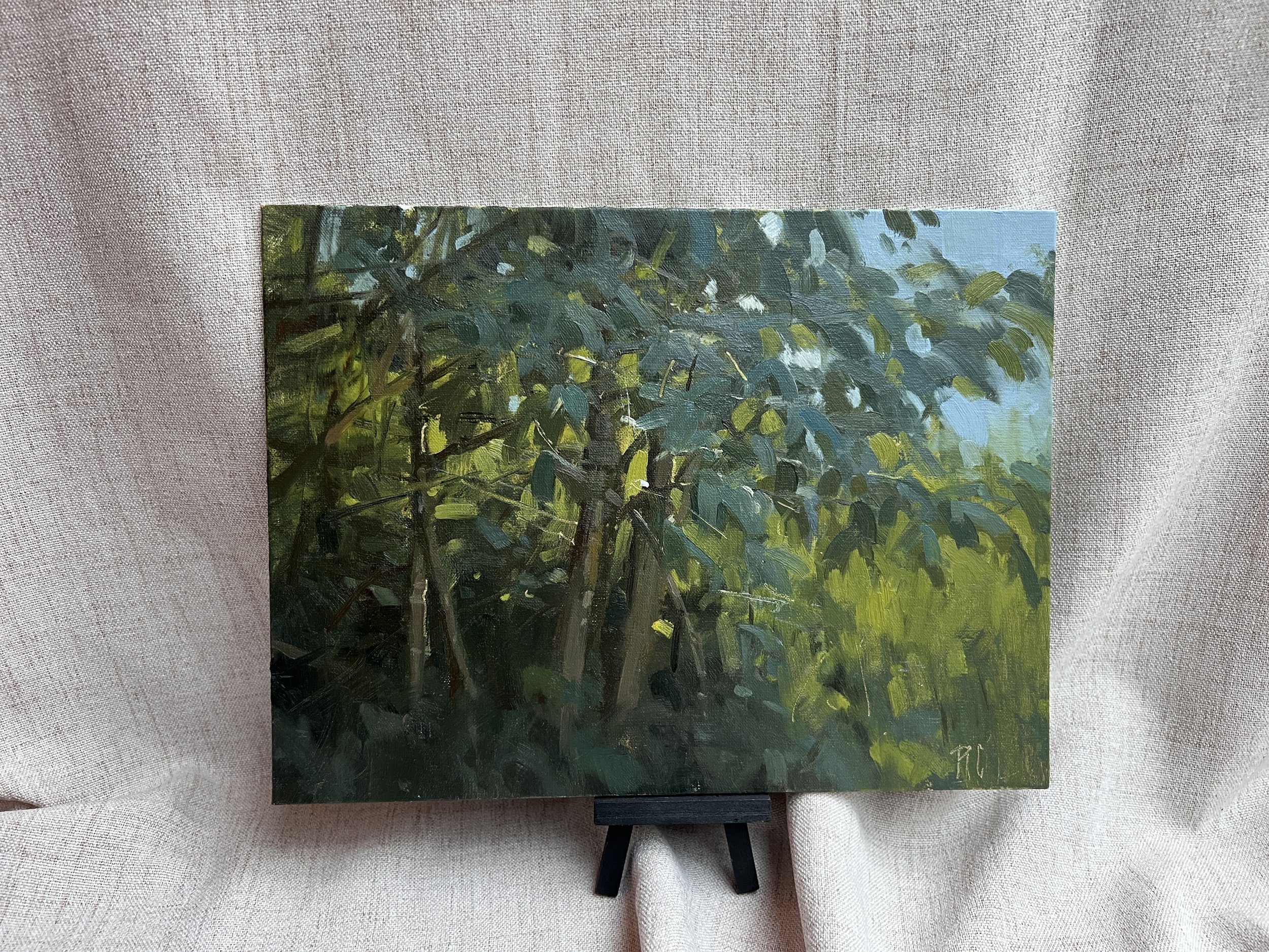 Maple and Sunlight 9x12