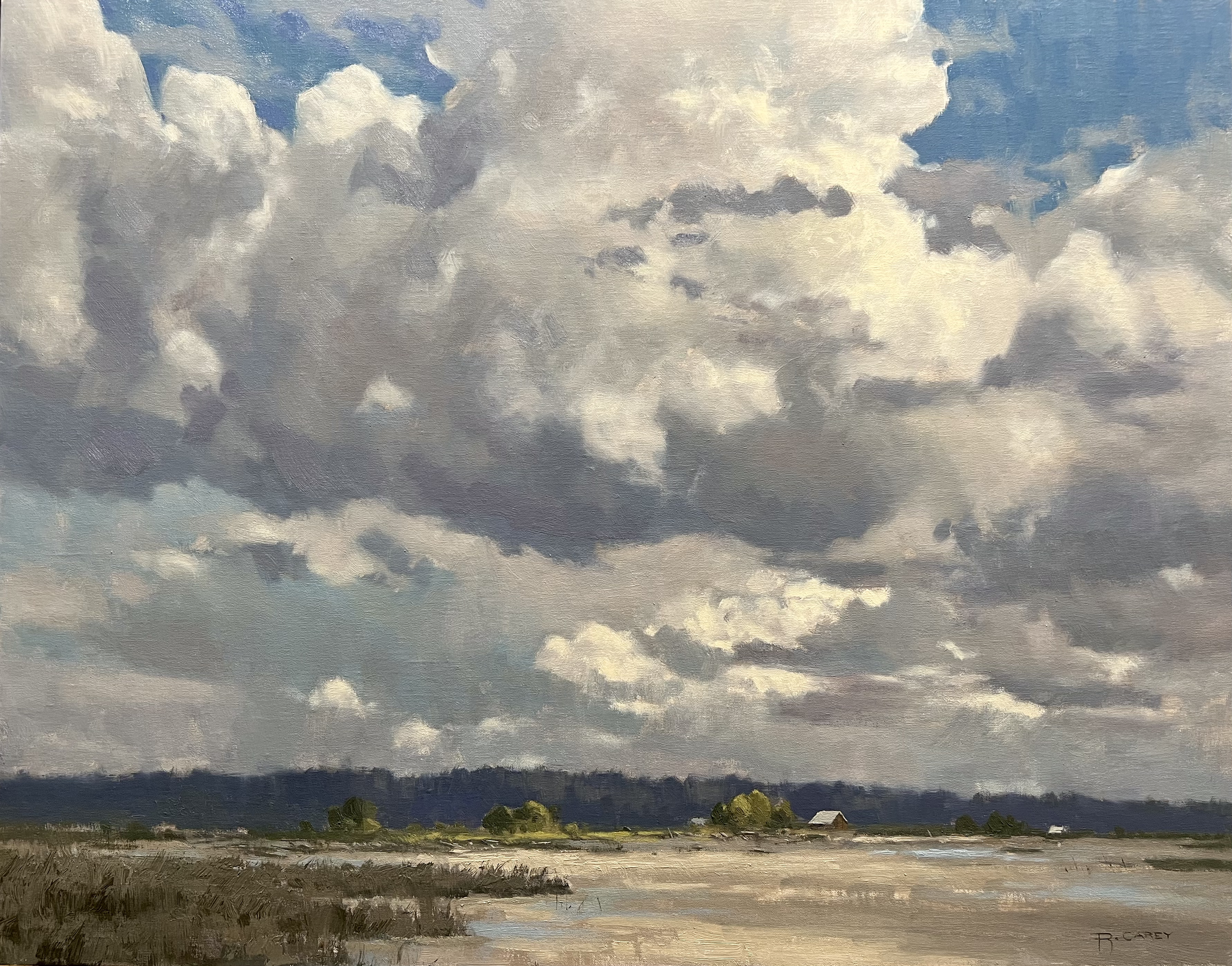Clouds of Camano 22x28 