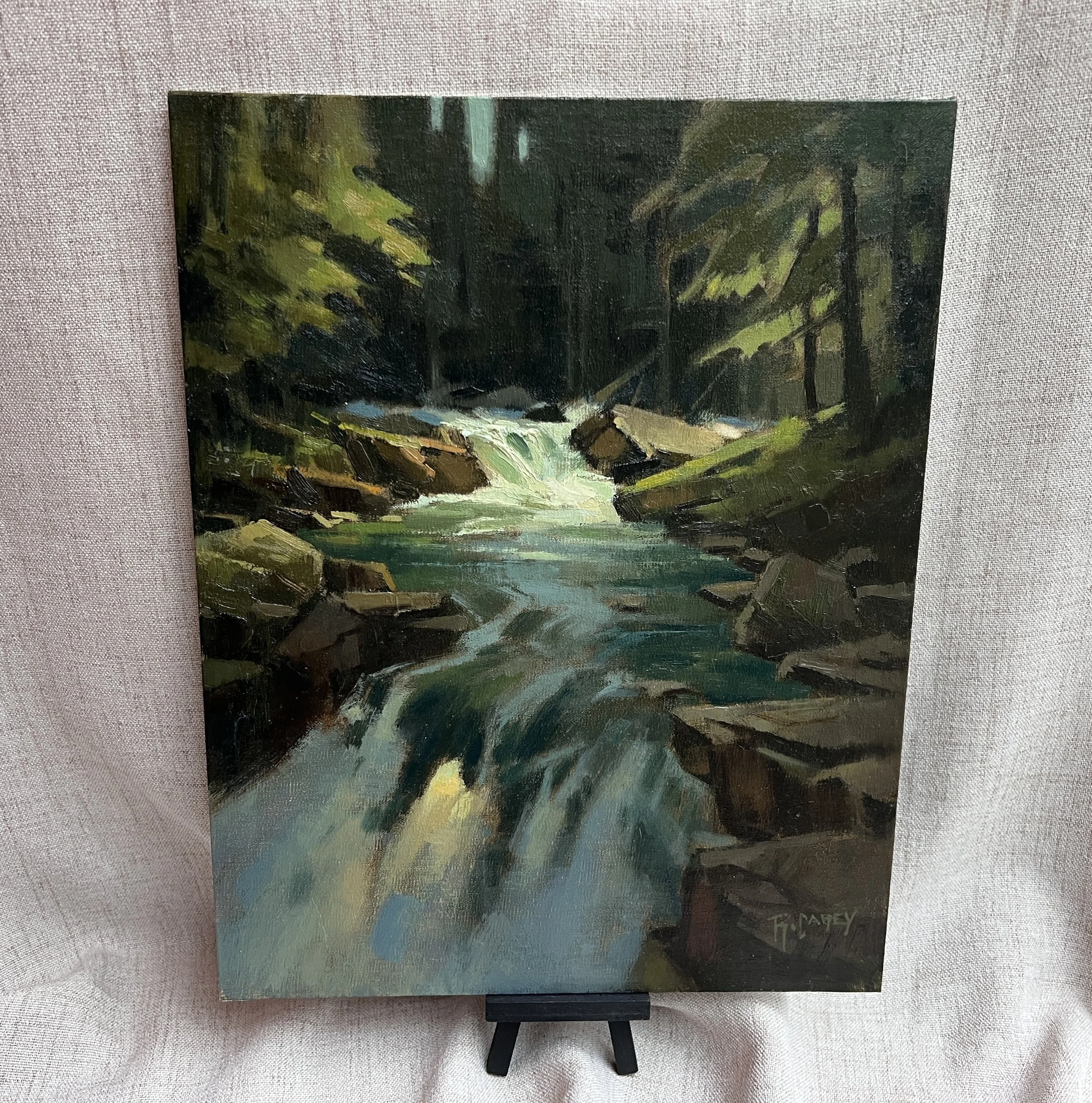 Where the light falls 14x11