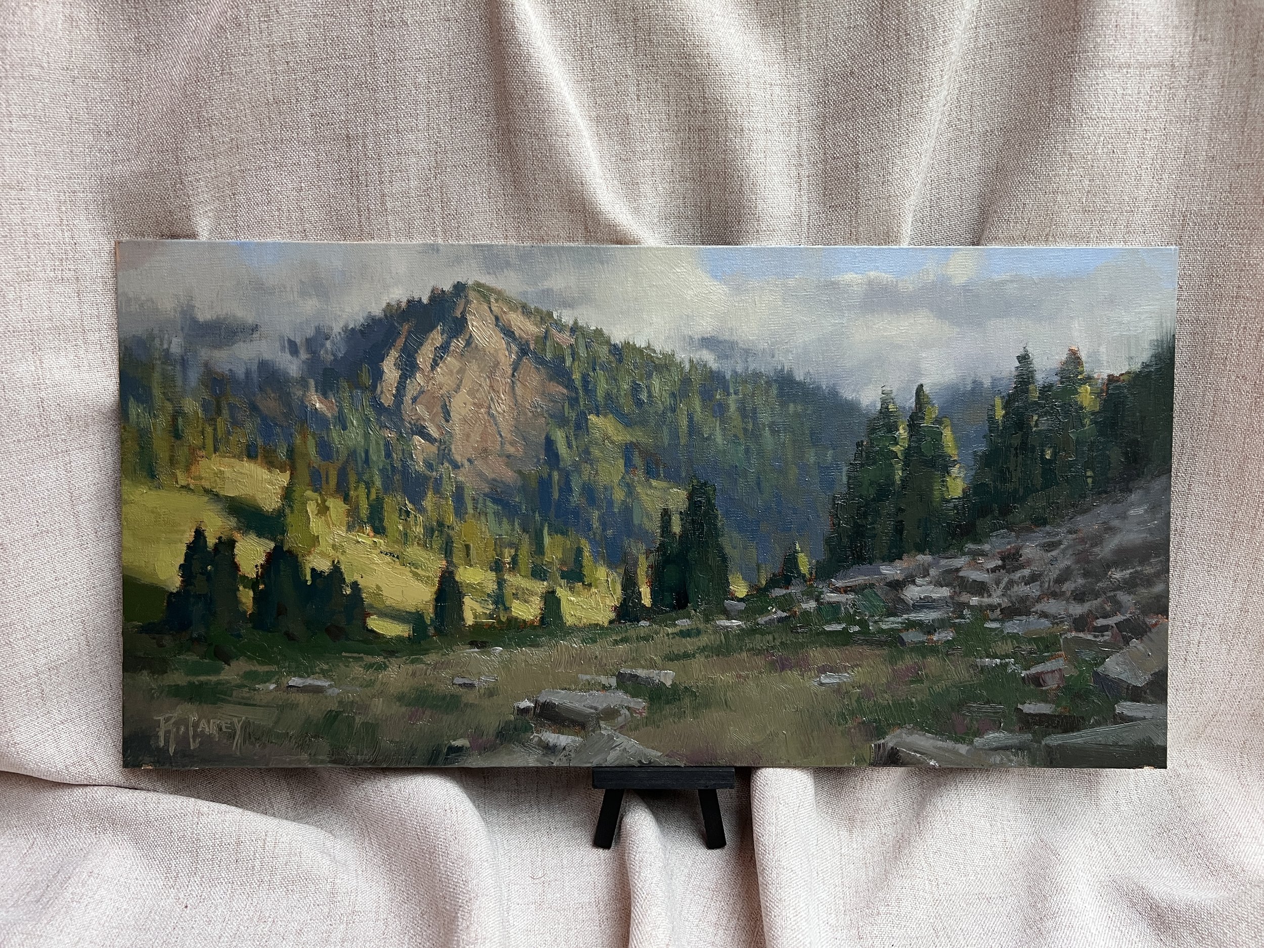 Memories of the High Country 10x20