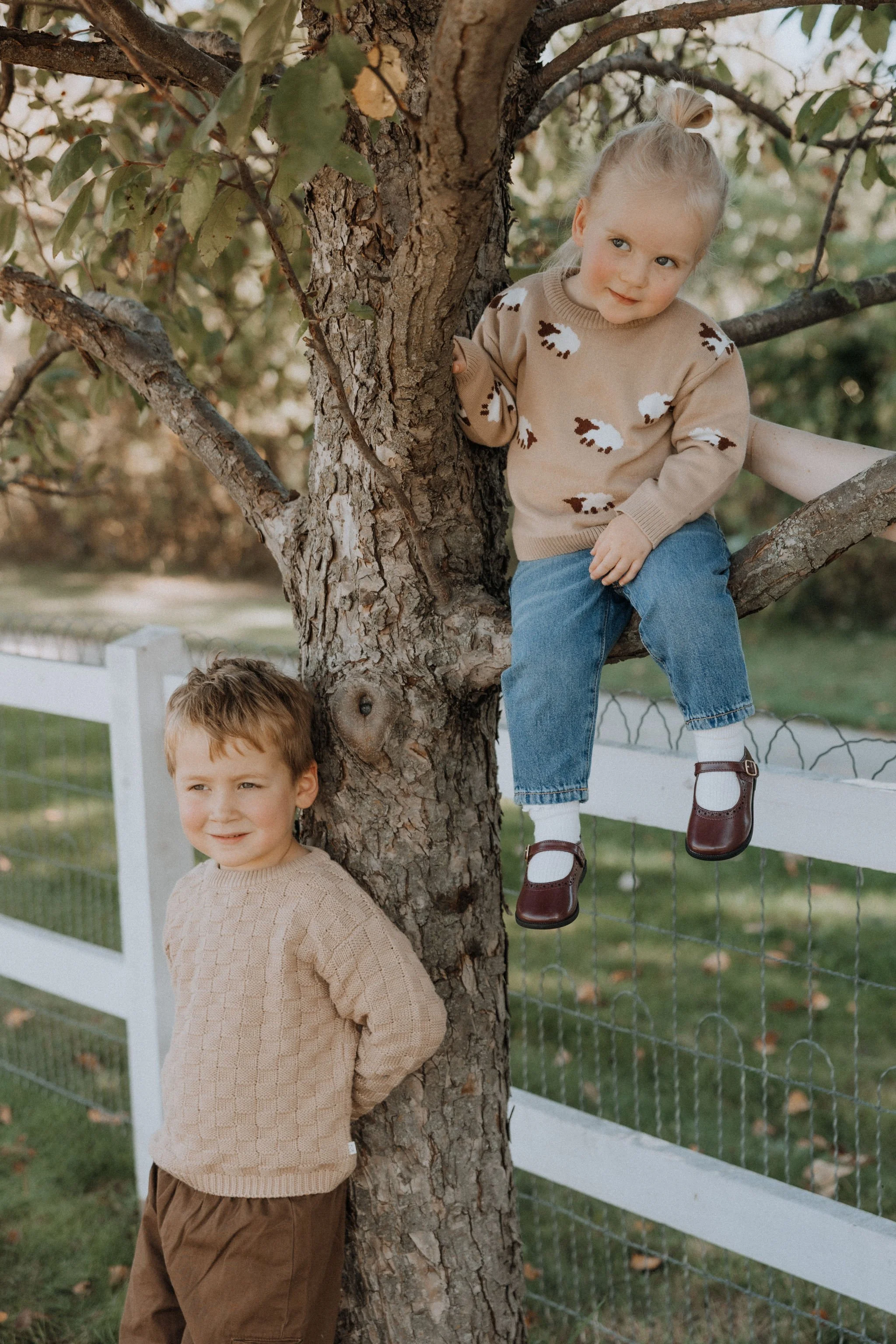 Dear Hayden: Farm Collection