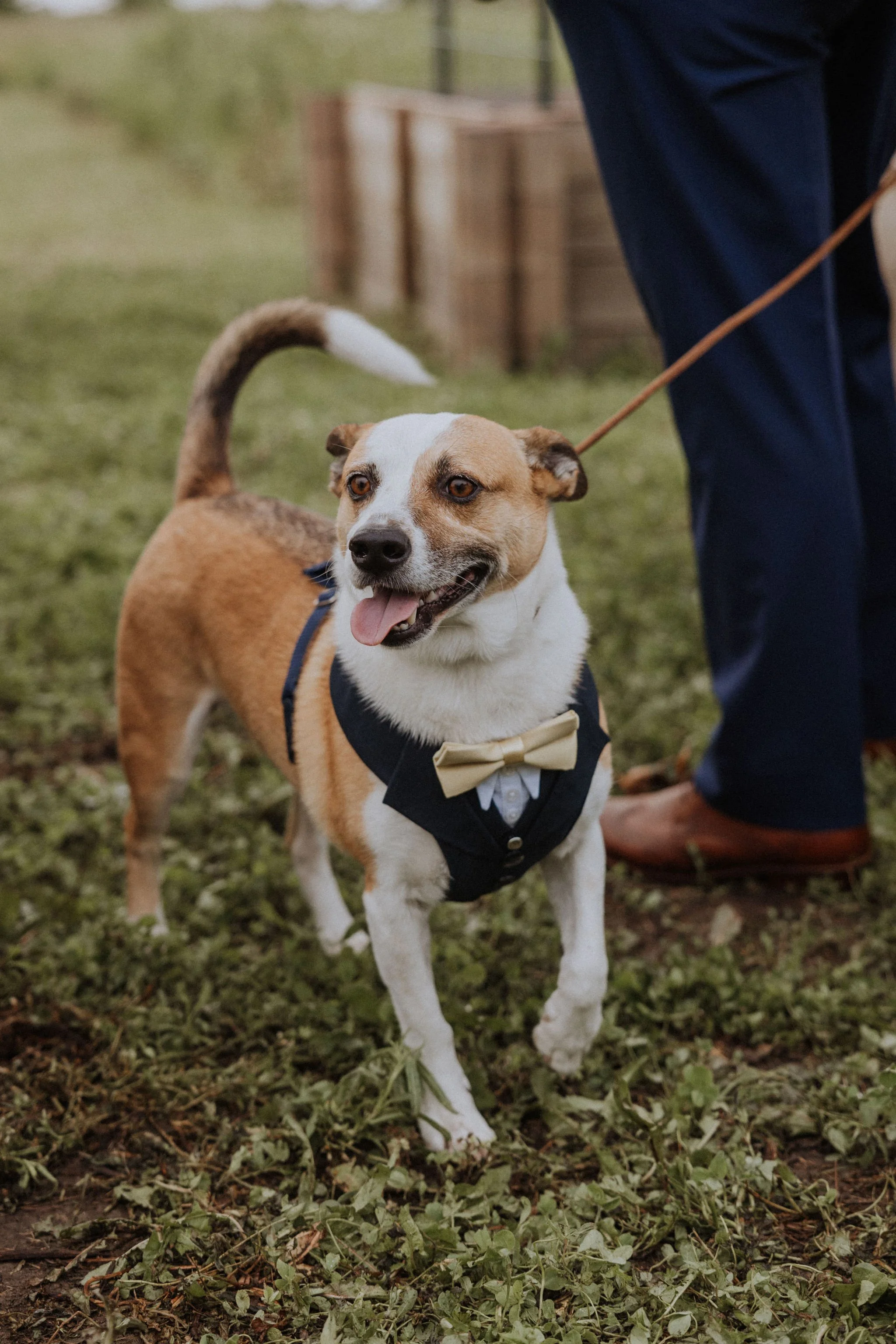 chicago documentary wedding photographer