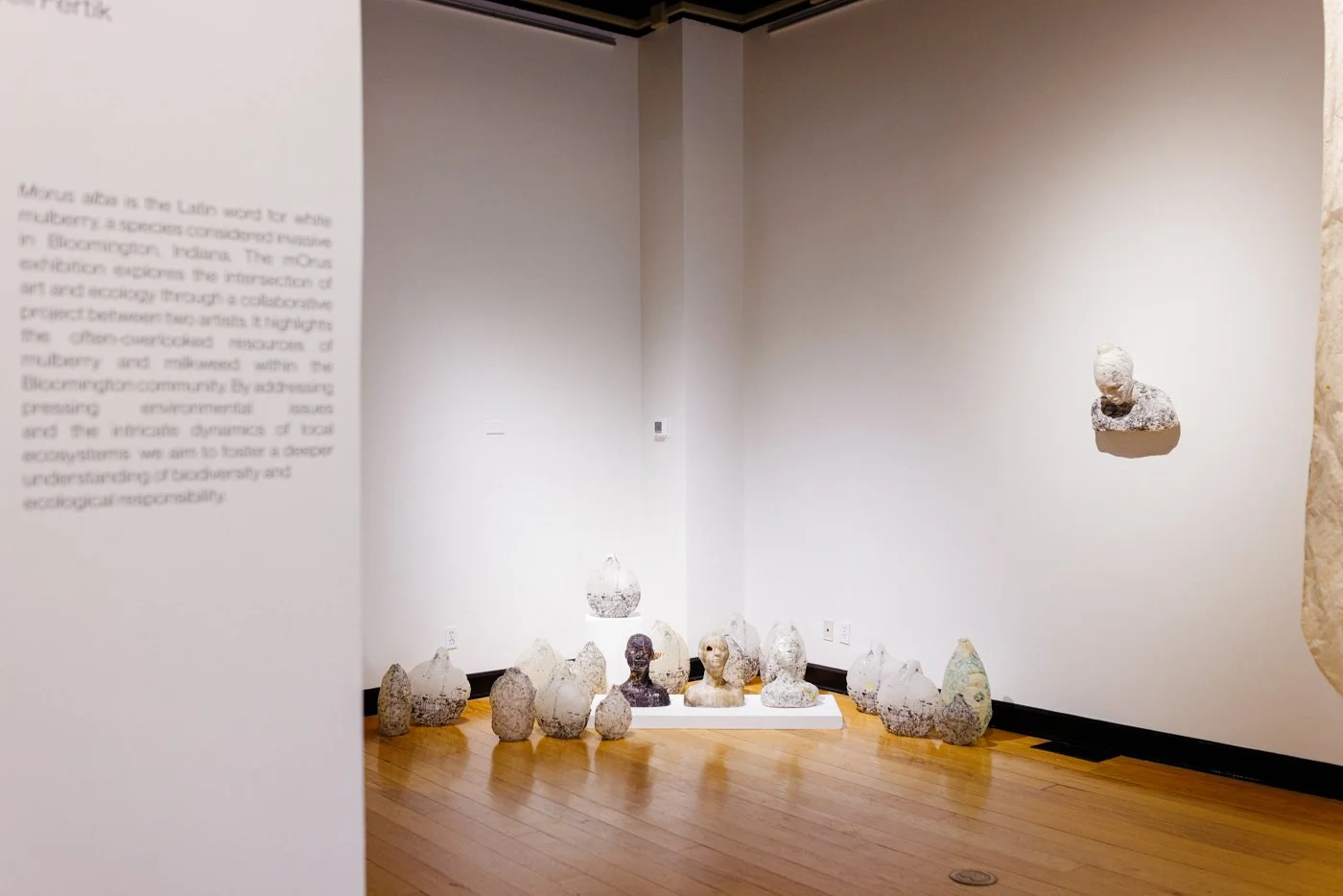 art gallery-documentation-photography-22.jpg