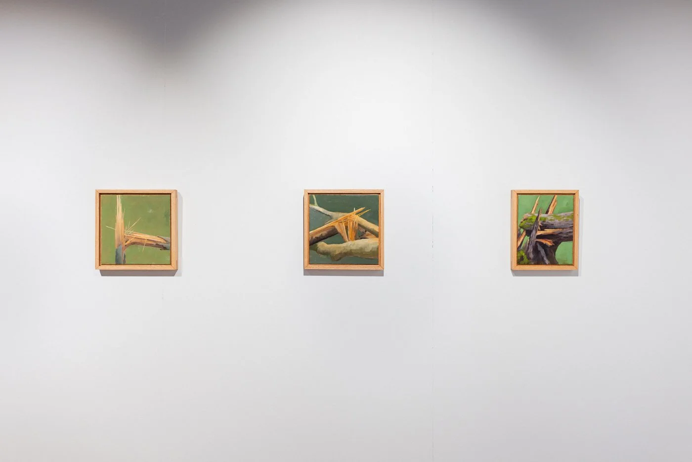 art gallery-documentation-photography-8.jpg