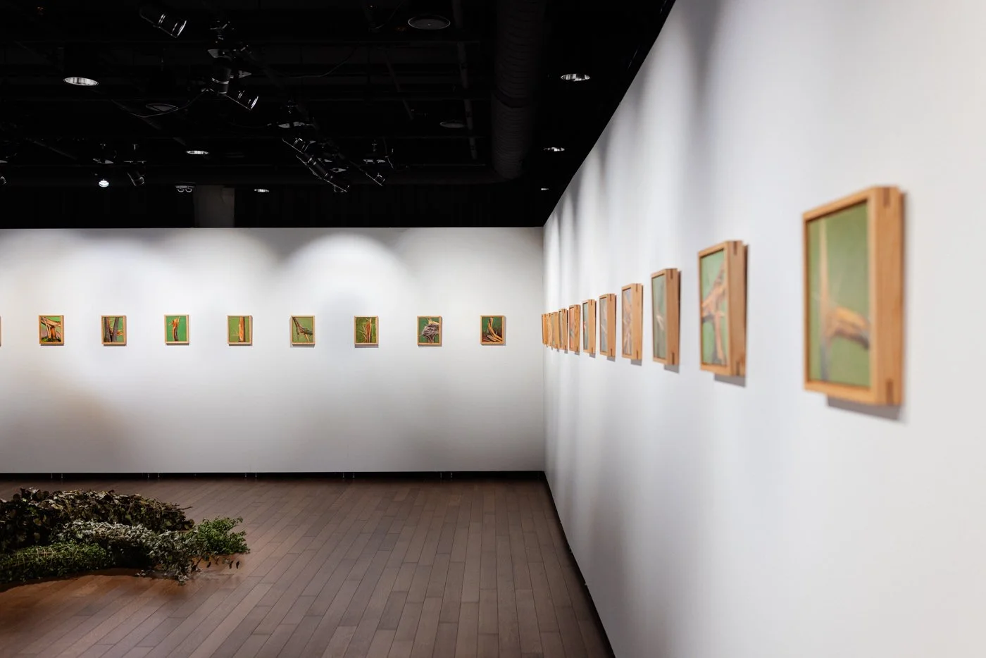 art gallery-documentation-photography-9.jpg