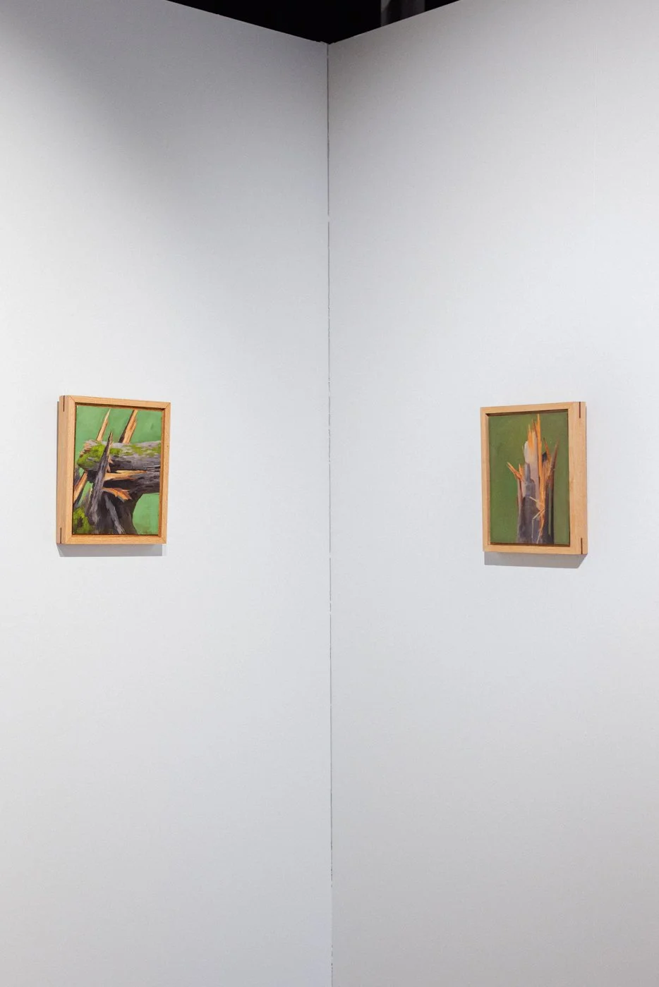 art gallery-documentation-photography-7.jpg