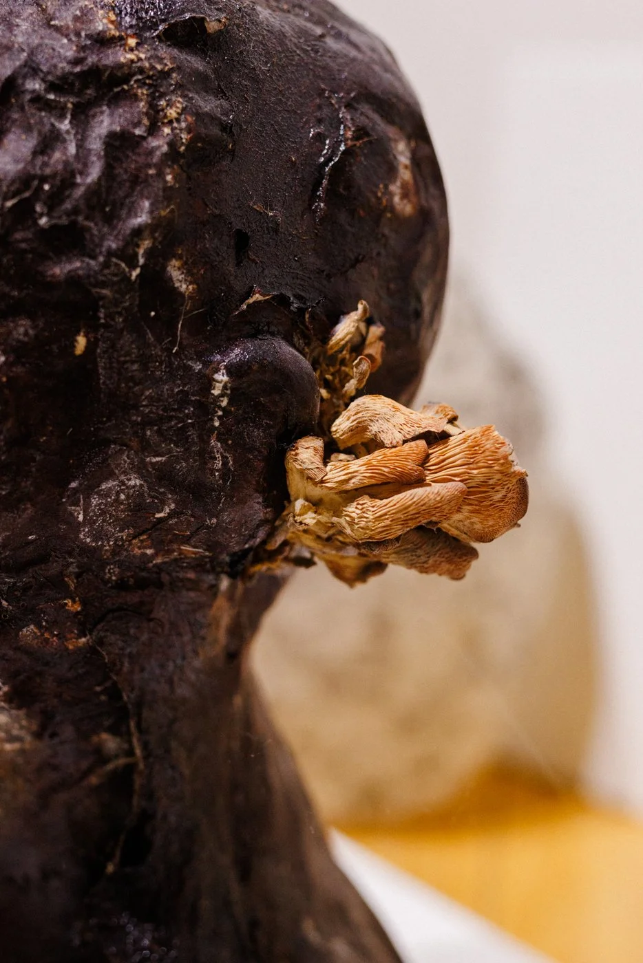 art gallery-documentation-photography-24.jpg