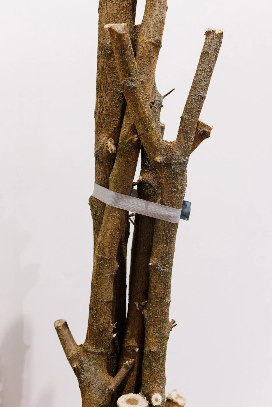 art gallery-documentation-photography-32.jpg