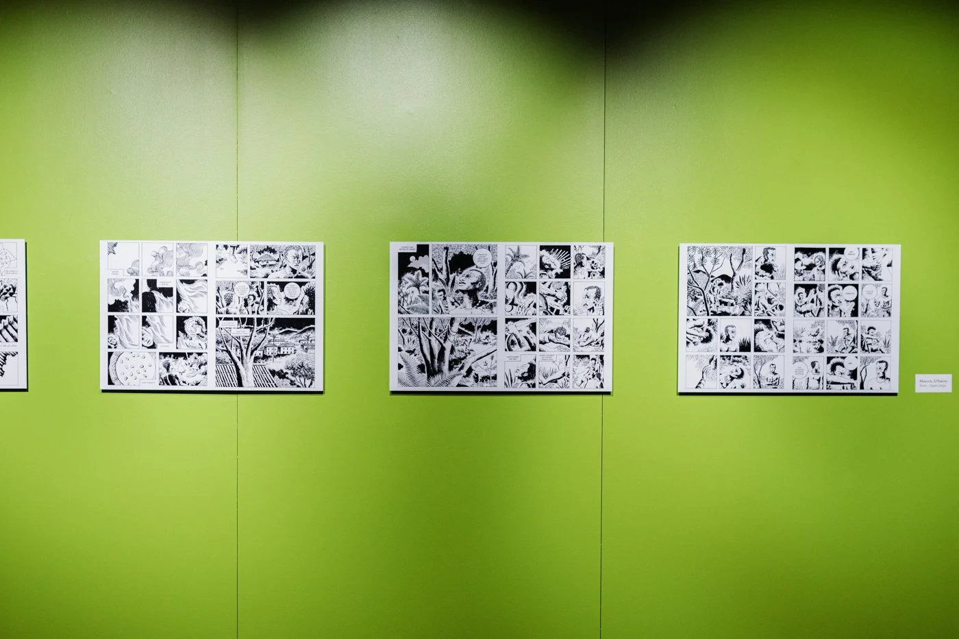 art gallery-documentation-photography-19.jpg