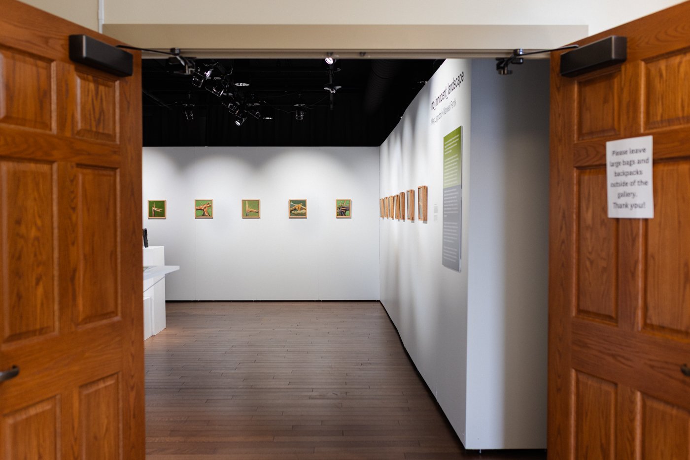 art gallery-documentation-photography-2.jpg