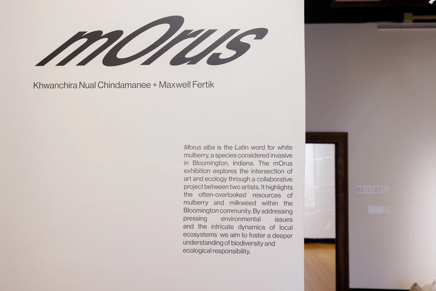 art gallery-documentation-photography-3.jpg