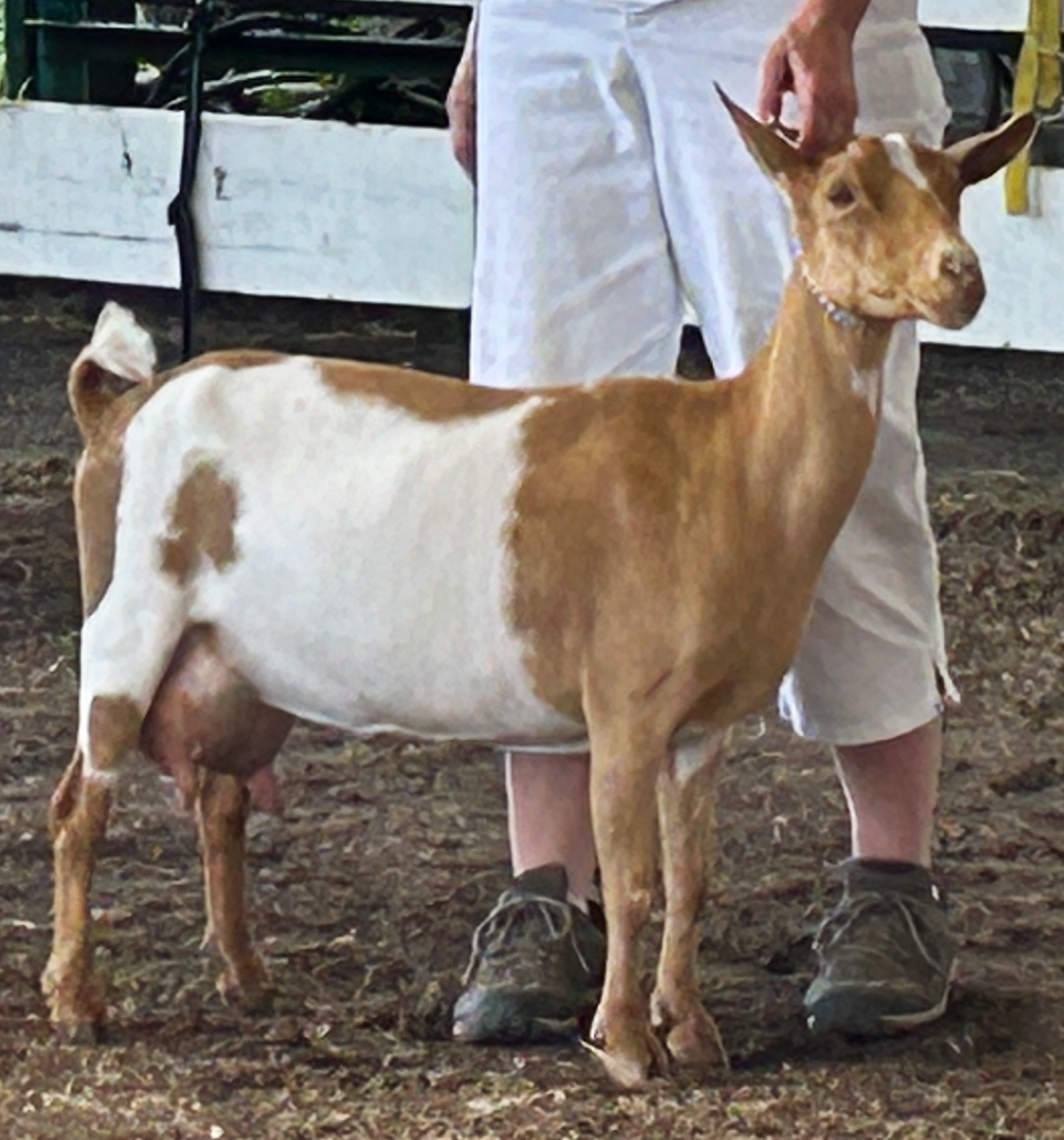 IMG_8810.png