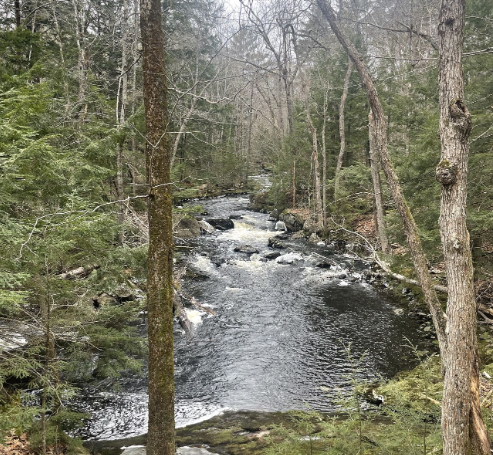 You gotta think like a boat...