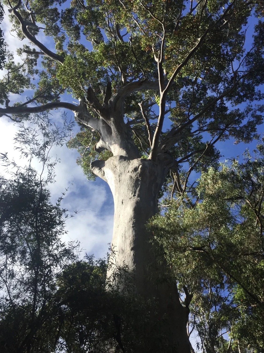 Experience Shapes Us. Burnout Is Real.