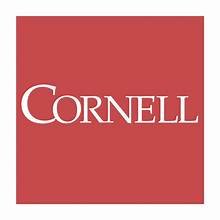 Mish Sommers, founder of Bay Consulting, holds a Cornell University Certificate in Digital Marketing