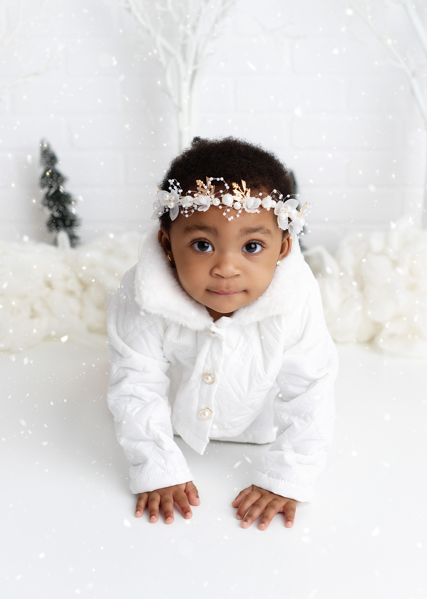 baby-girl-first-birthday-kingston-ontario-portrait-studio.png