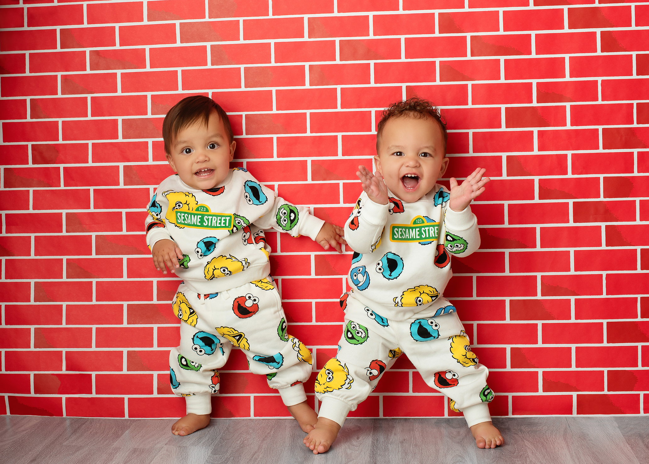 twin-boys-sesame-street-red-bricks-first-birthday-Kingston-family-photographer.png
