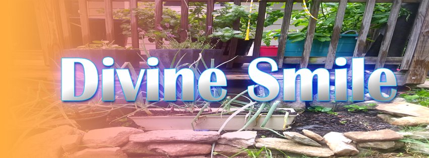 divine smile fb banner logo 001.jpg