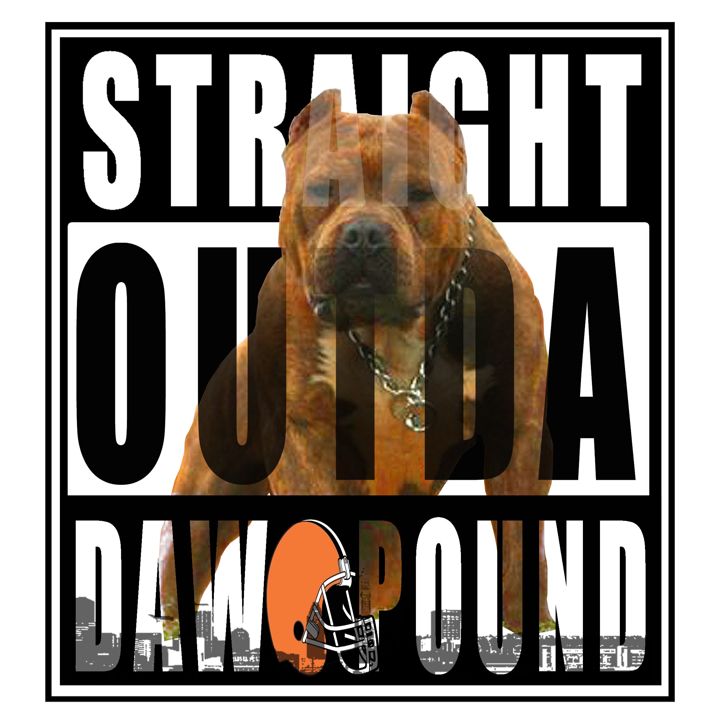 Dpound 008.jpg