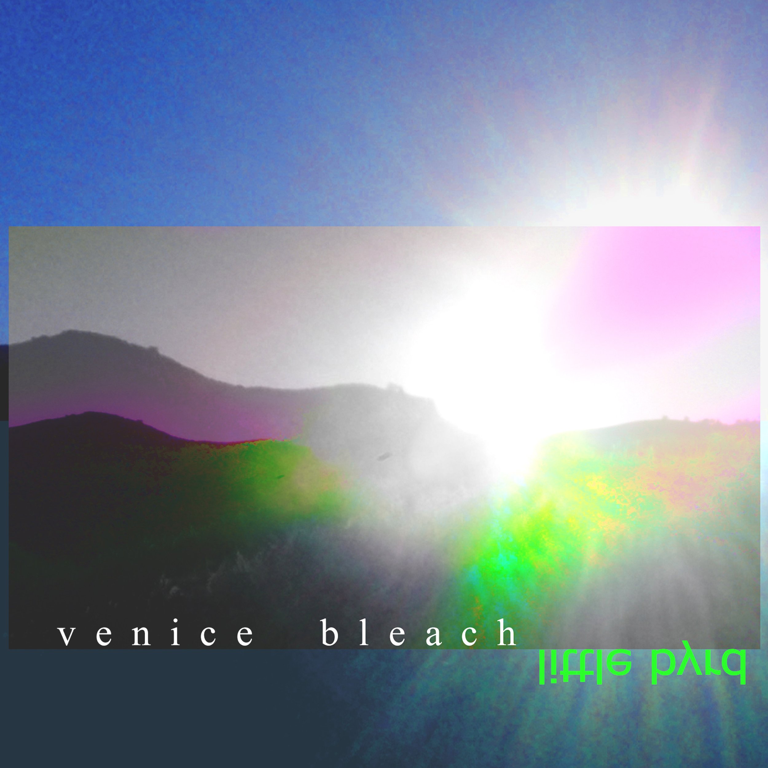 venice bleach cov 2021.jpg