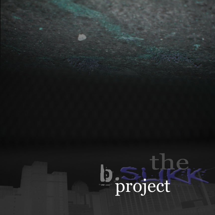 bslikk city.jpg