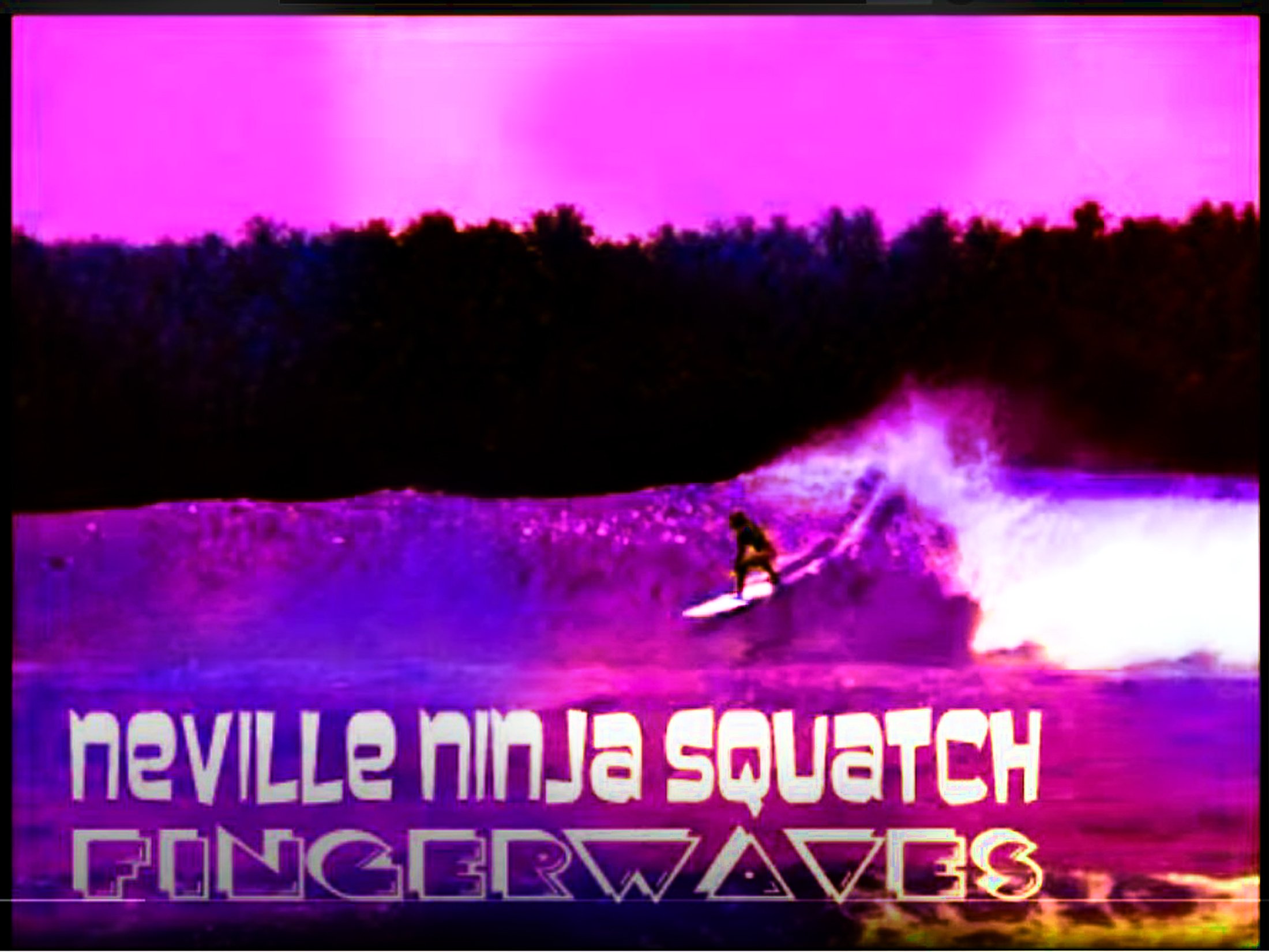 nns Fingerwavs cov snagged 221.jpg