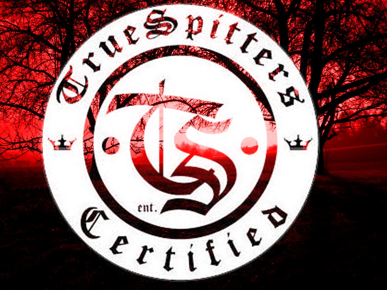 TS WOODS red copy.jpg