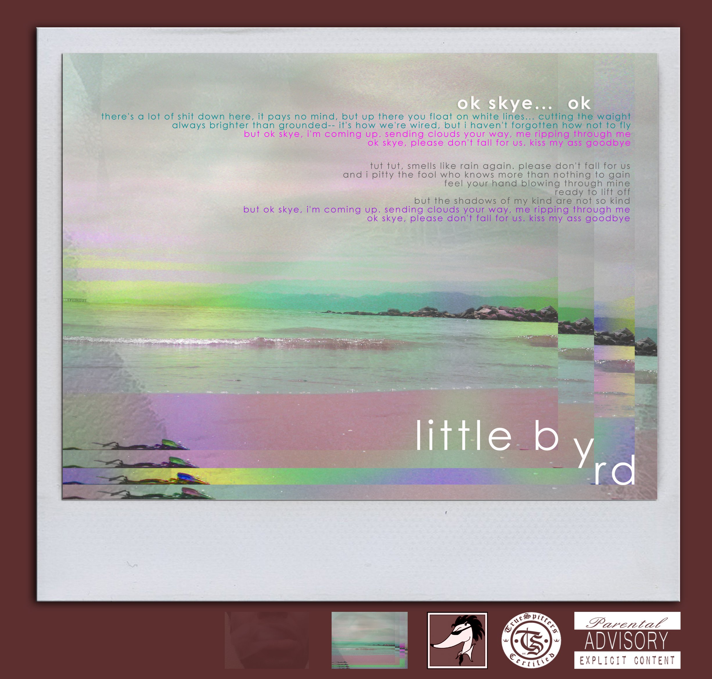 ok skye cov front.jpg