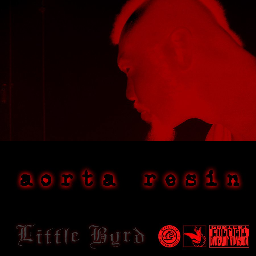 aorta resin.jpg