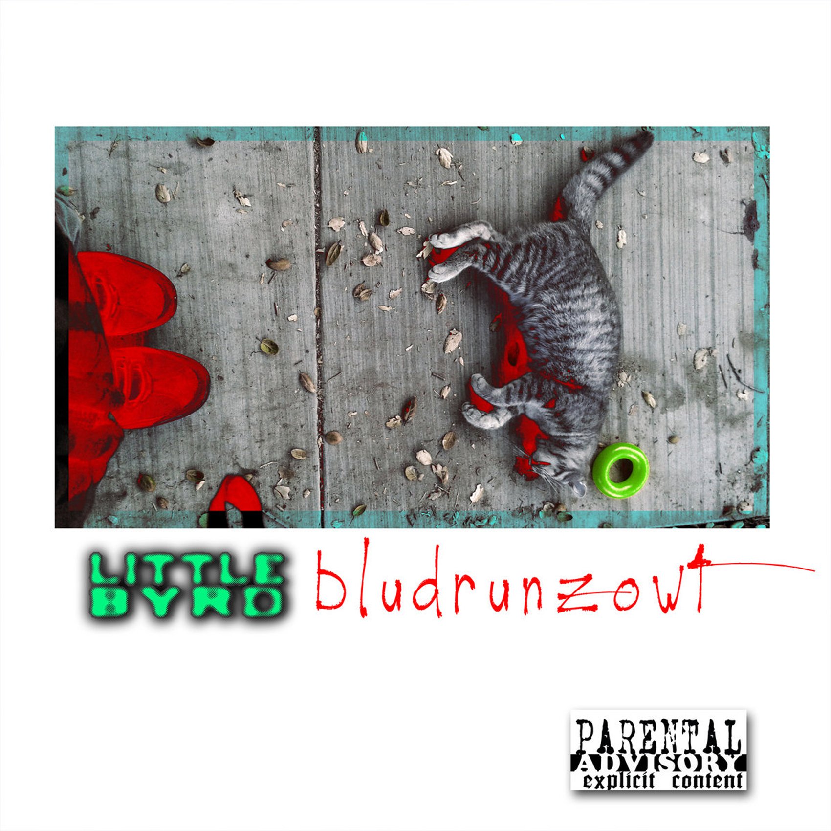 bludrunzowt.jpg