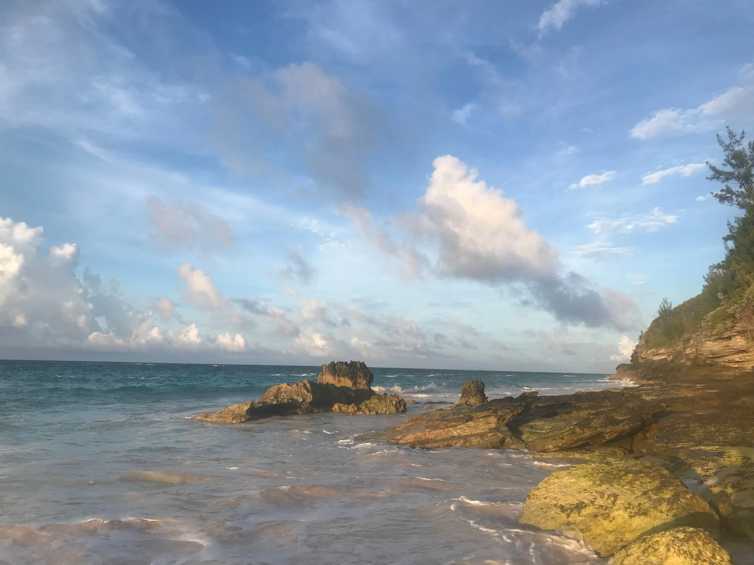 BERMUDA 1.jpg