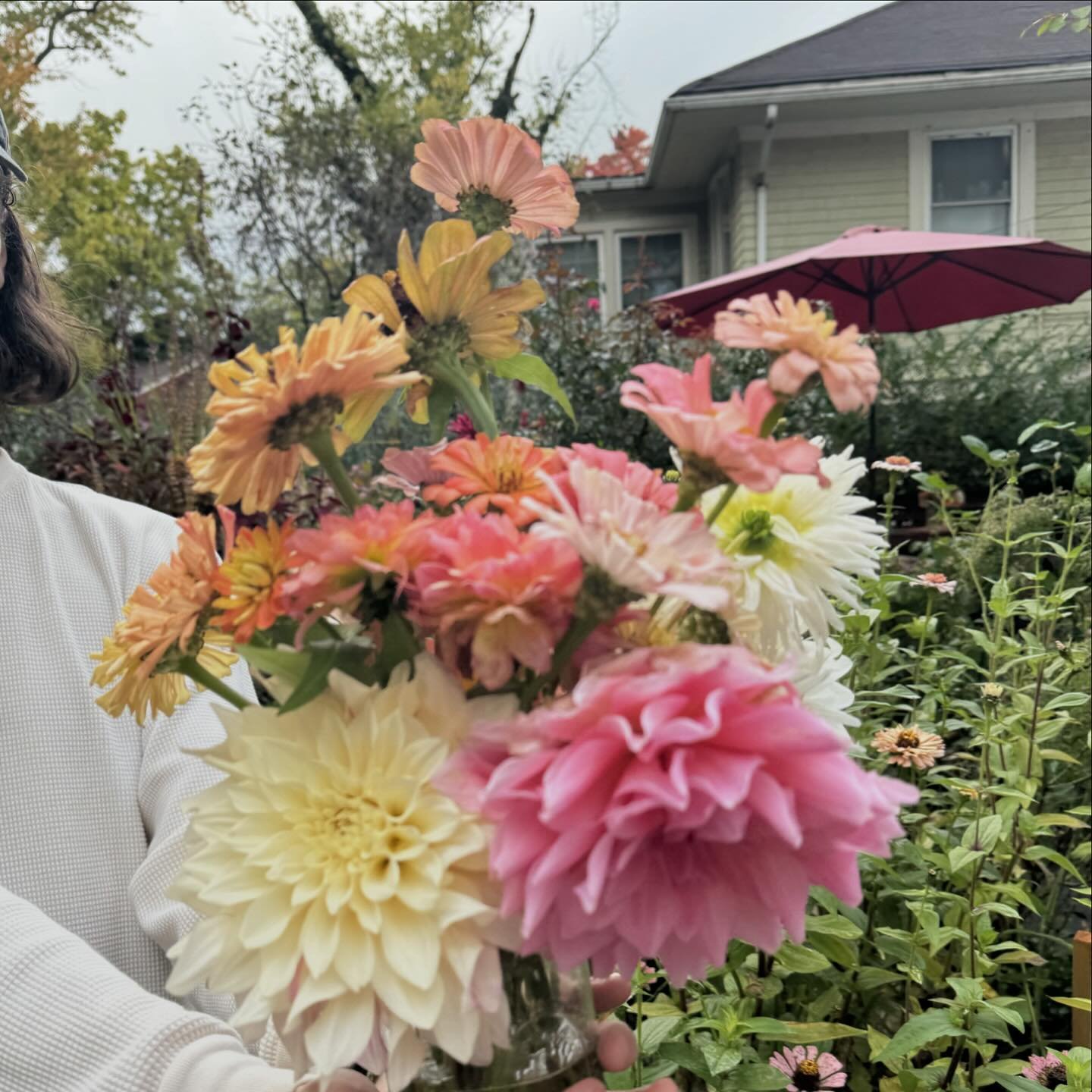 Final Fall bouquets for @inspiralmotion and @thecoralpoppy!  Zinnias and Dahlias. Maybe we have a few more bouquets left until the first frost. 🤍✨🤍✨🤍✨🤍✨

#flowers #flowergarden #flowerhealing #floweressence #clegarden #morningpractice #deadheadin