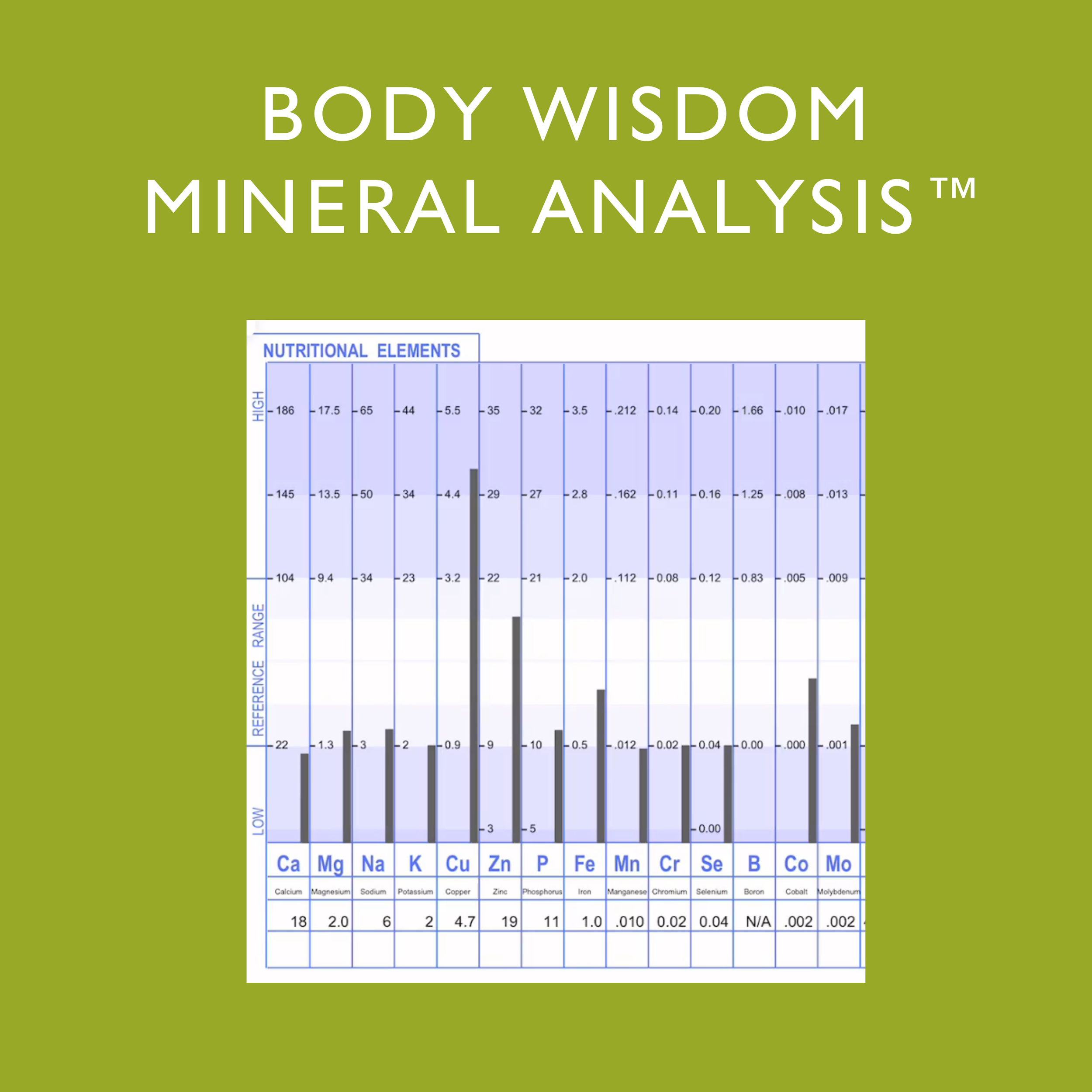 BWMA IMAGE FOR SQUARESPACE.png