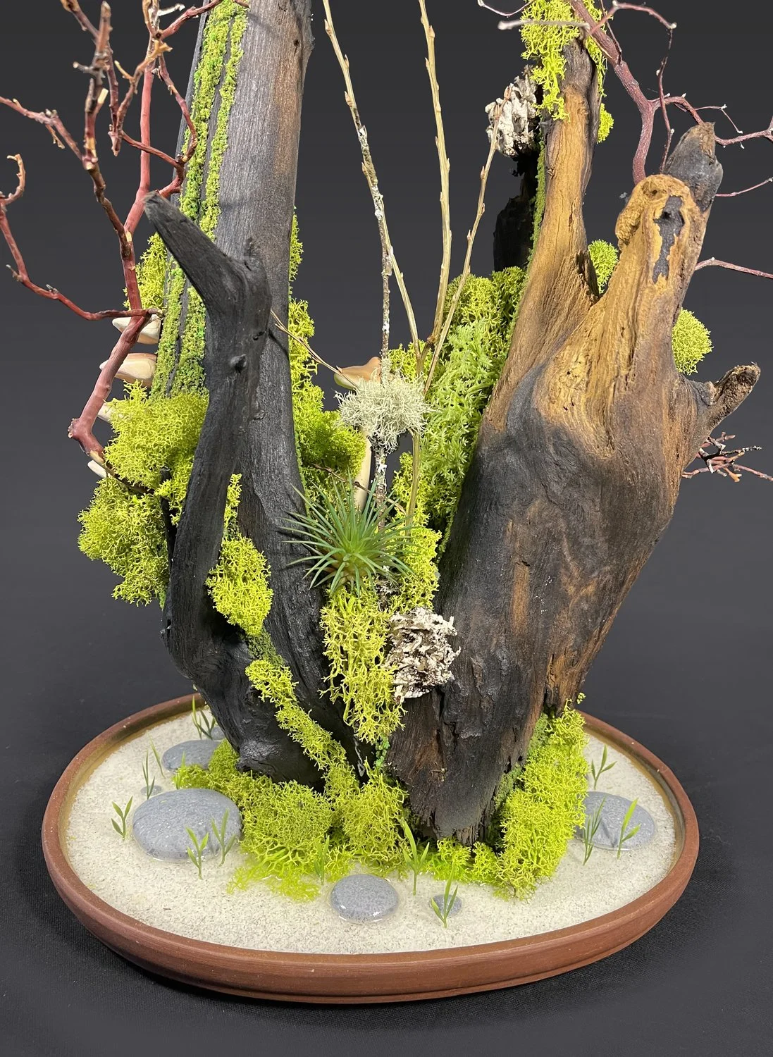 From Fire back CU small.jpg