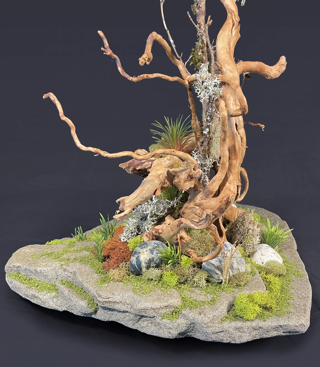 Roots and Stone CU4 small.jpg