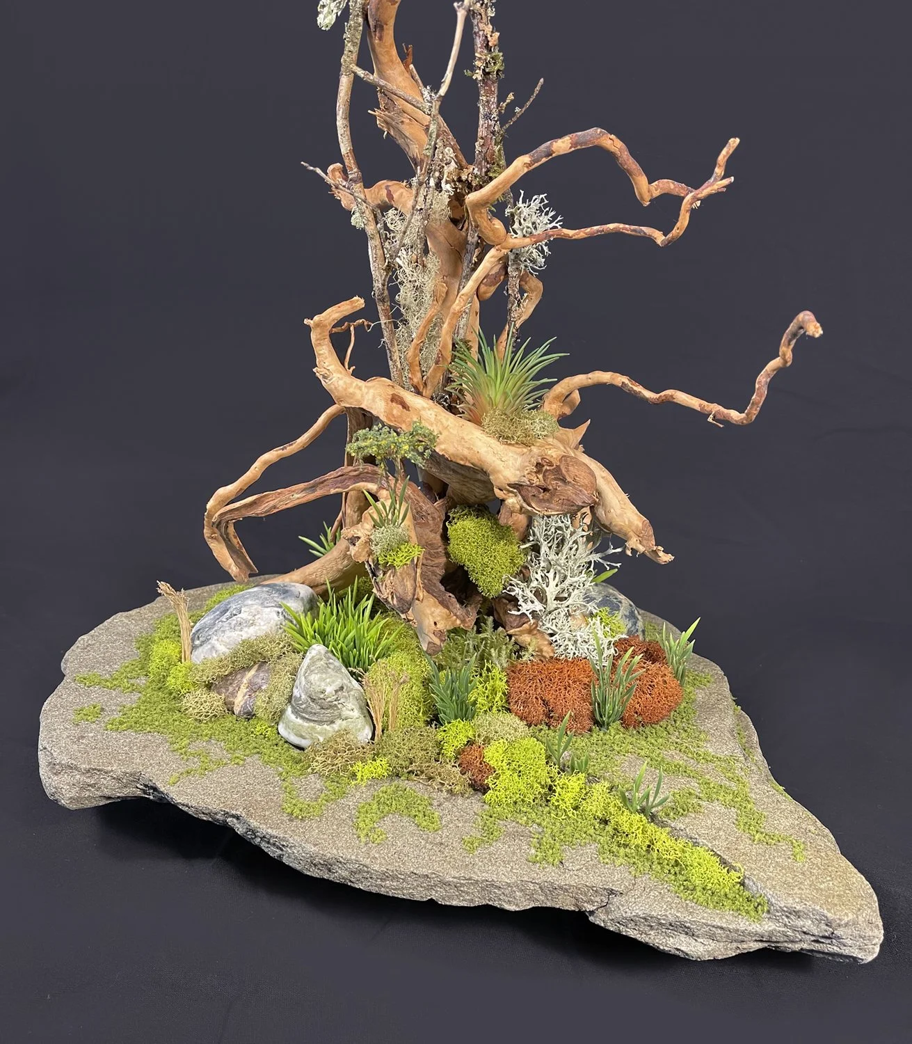 Roots and Stone CU1 small.jpg