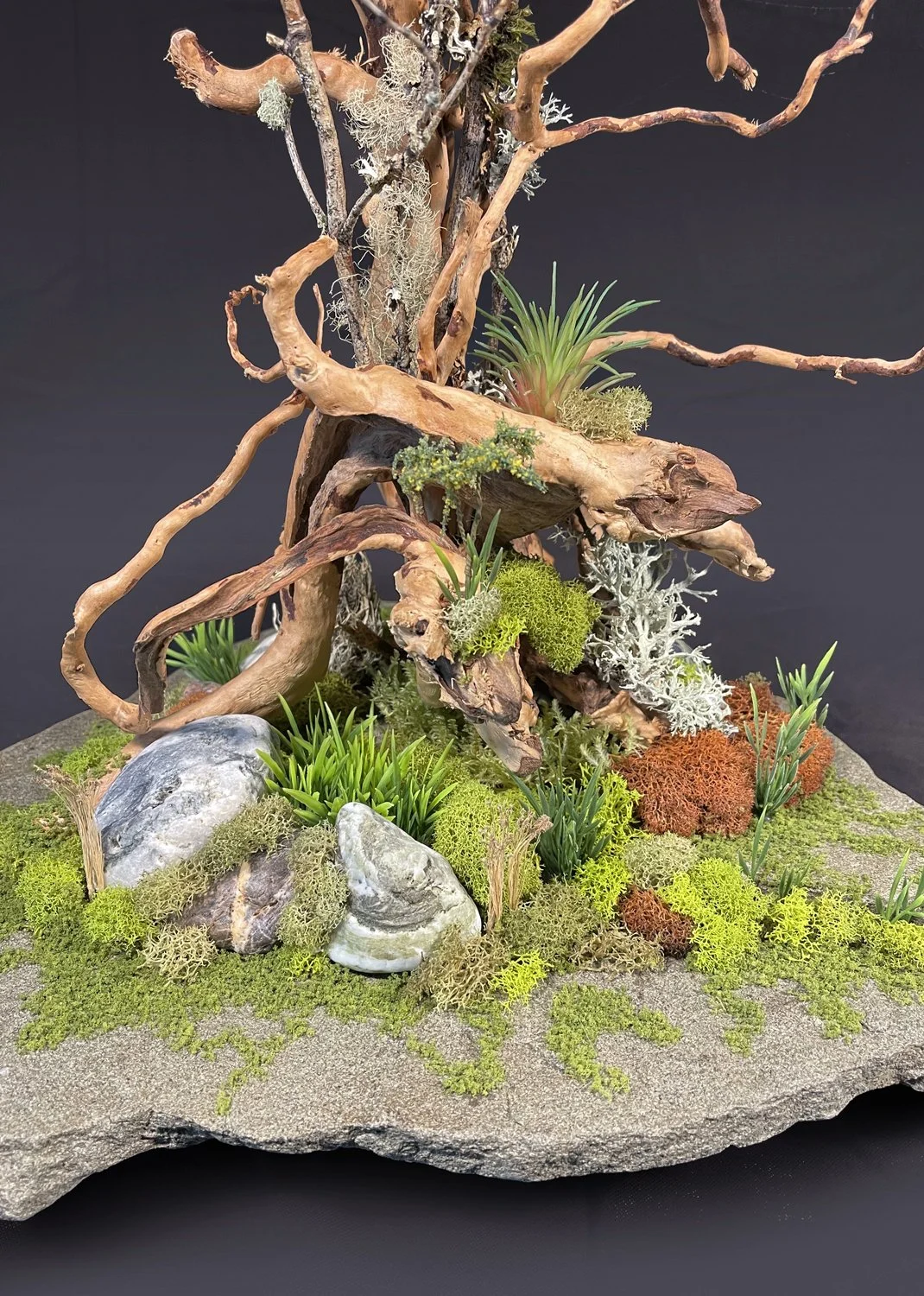 Roots and Stone CU2 small.jpg