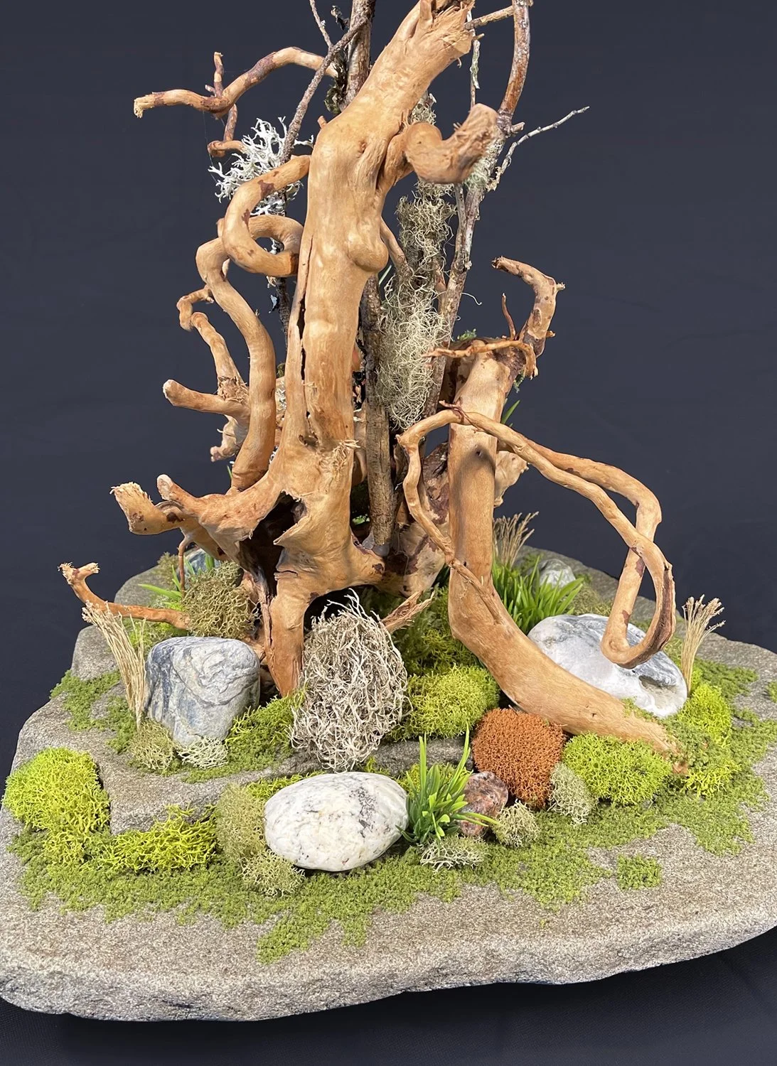 Roots and Stone CU3 small.jpg
