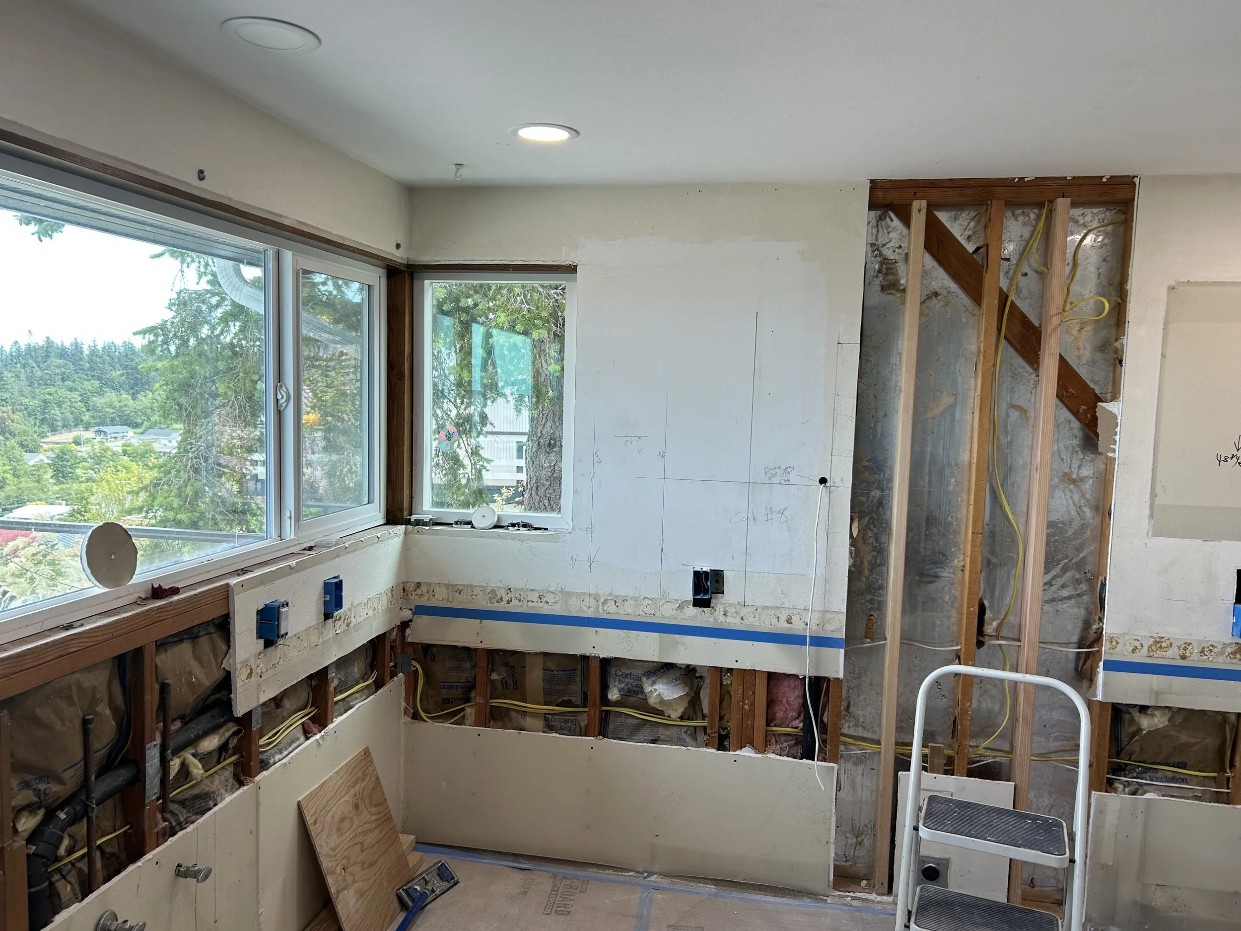 Interior of a room under renovation with exposed wall studs, partially removed drywall, and a large window with a view of trees and neighborhood outside.