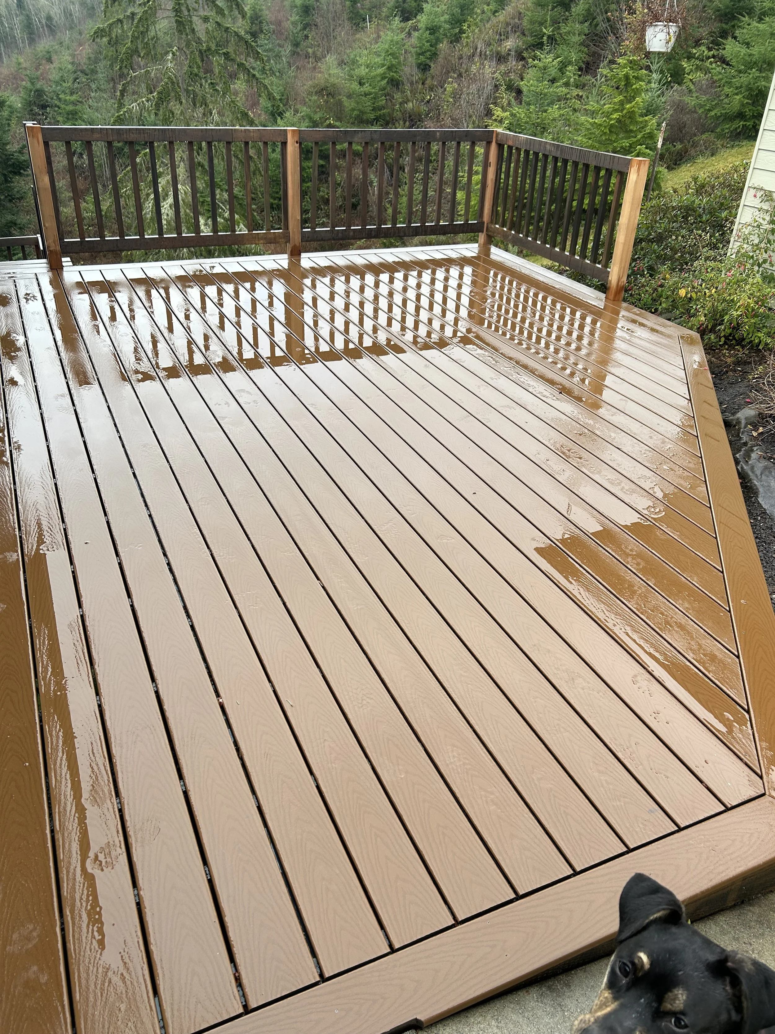 Wet wooden deck with railing, surrounded by green trees and bushes, with a small part of a dog's head visible in the bottom right corner.