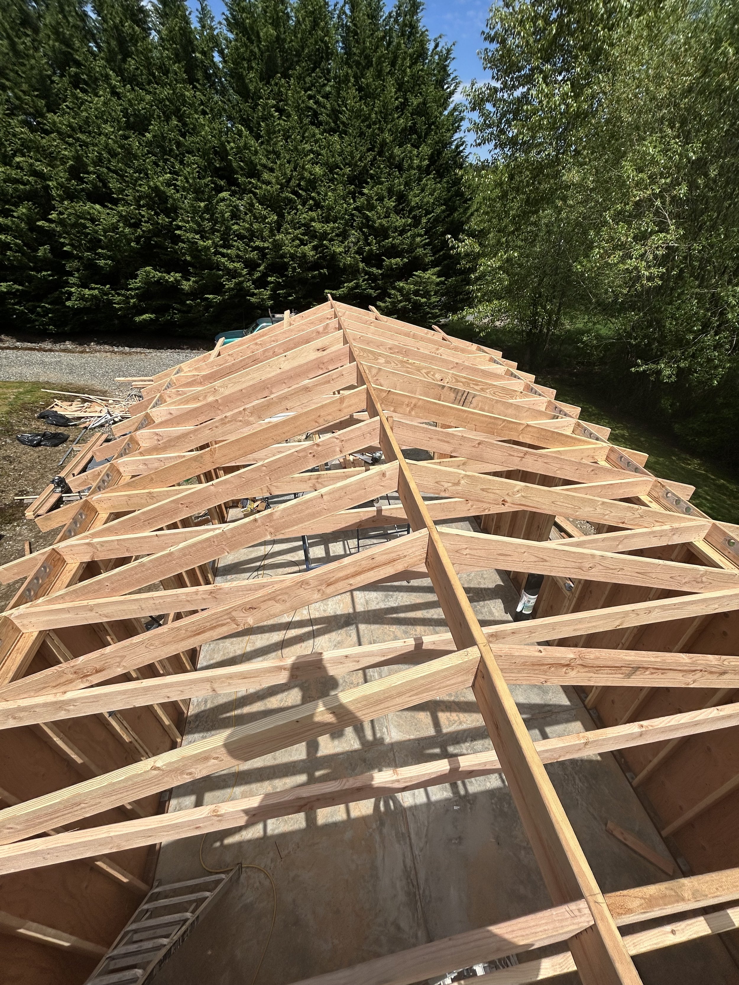Wooden roof framing under construction with angled rafters and trees in the background.