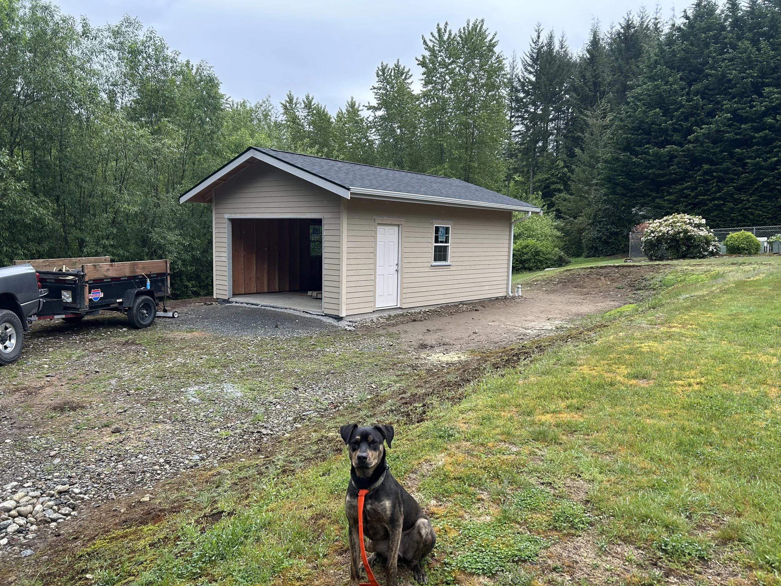 A black and brown dog sitting in front of a newly built small beige shed with a white door, on a grassy area with dirt and gravel, surrounded by trees and bushes.
