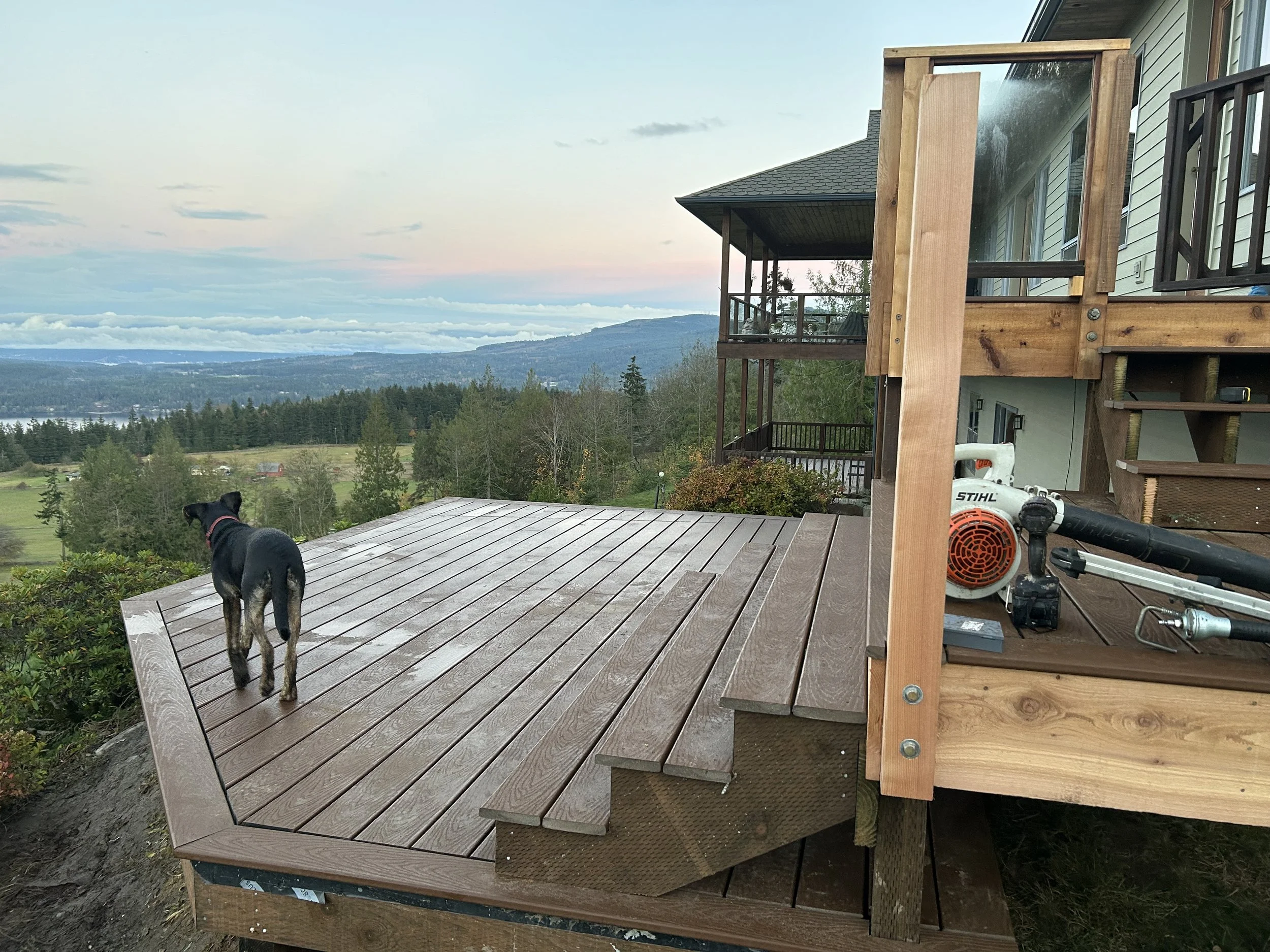 A partially built wooden deck with a black dog standing on it, overlooking a scenic landscape of trees, hills, and a body of water under a cloudy sky.