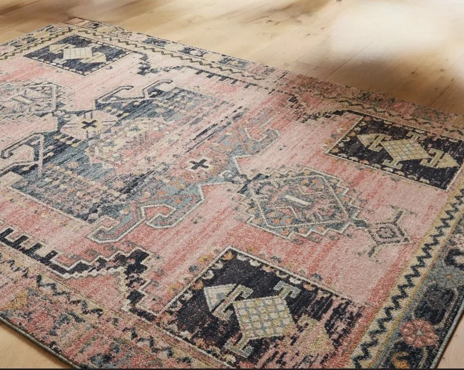 Colette oriental rug-$50
