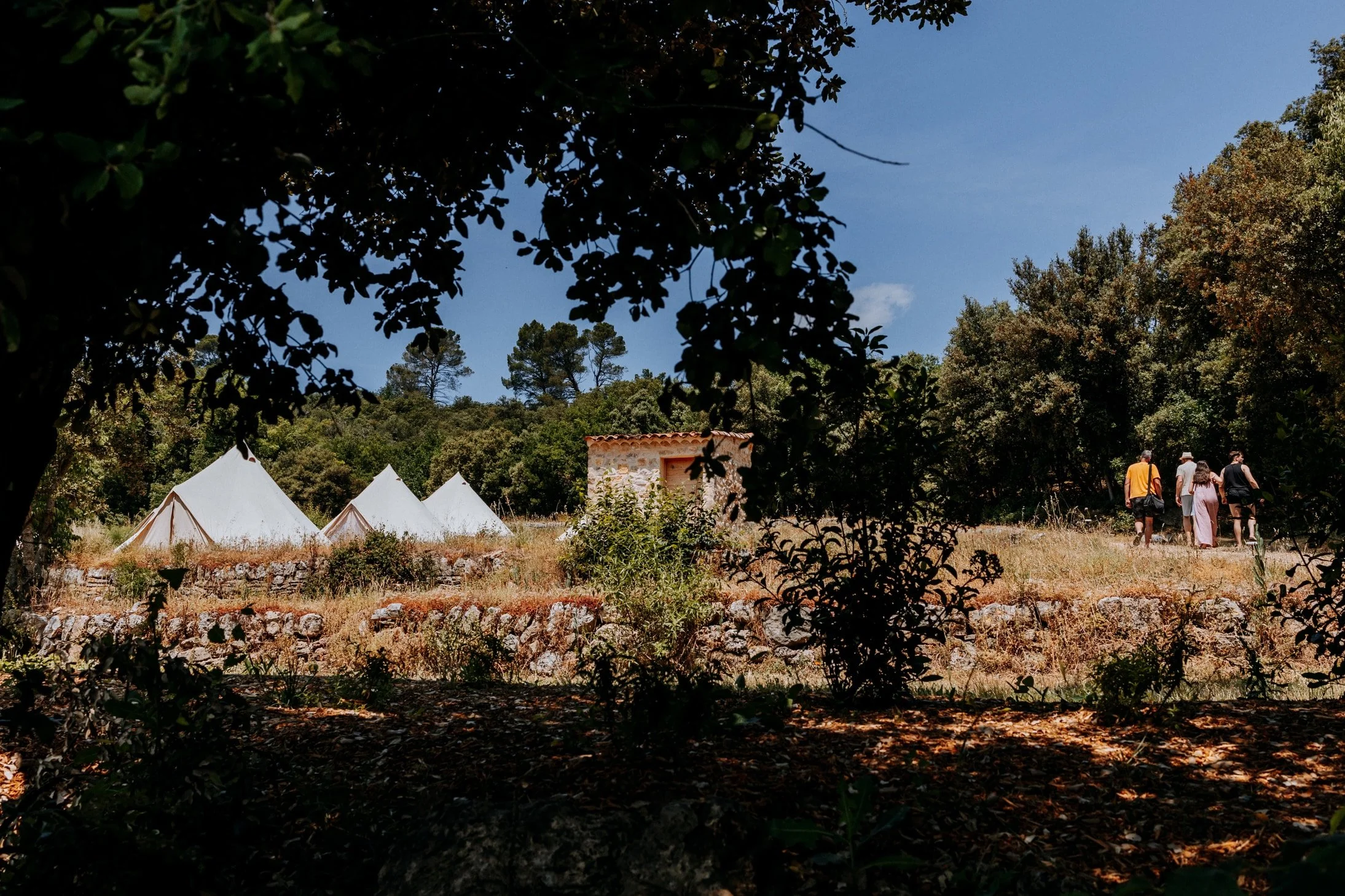 Mariage-2025-07-06-Nahtalie et Mathieu-15-nano - Copie.jpg