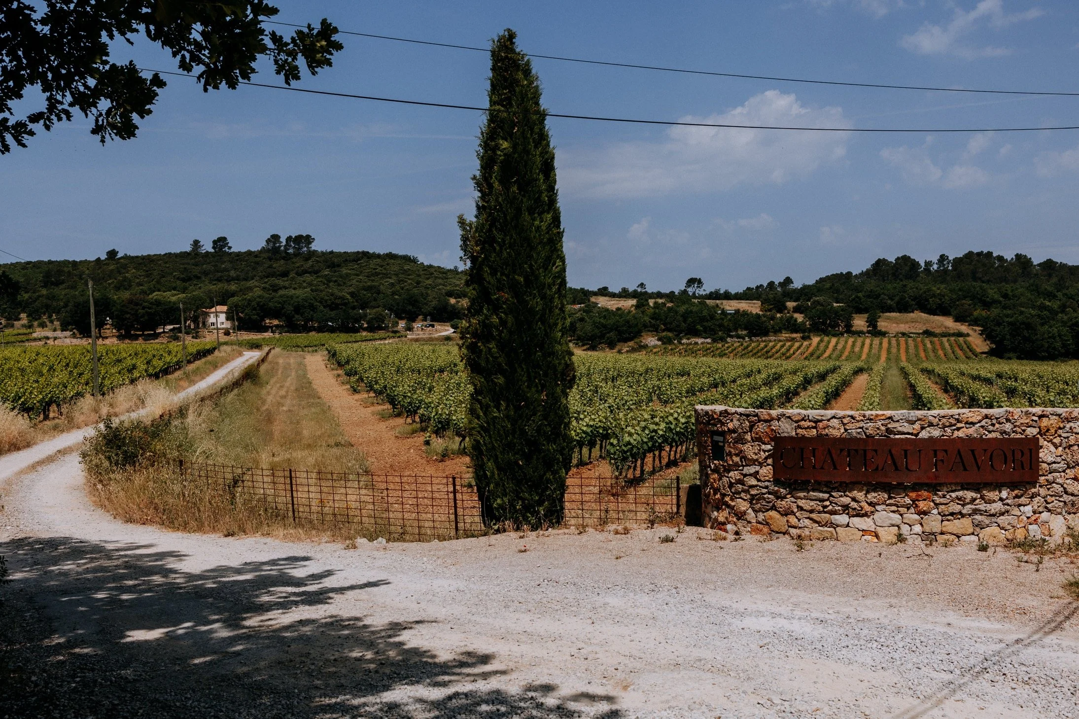 Mariage-2025-07-06-Nahtalie et Mathieu-nano - Copie.jpg