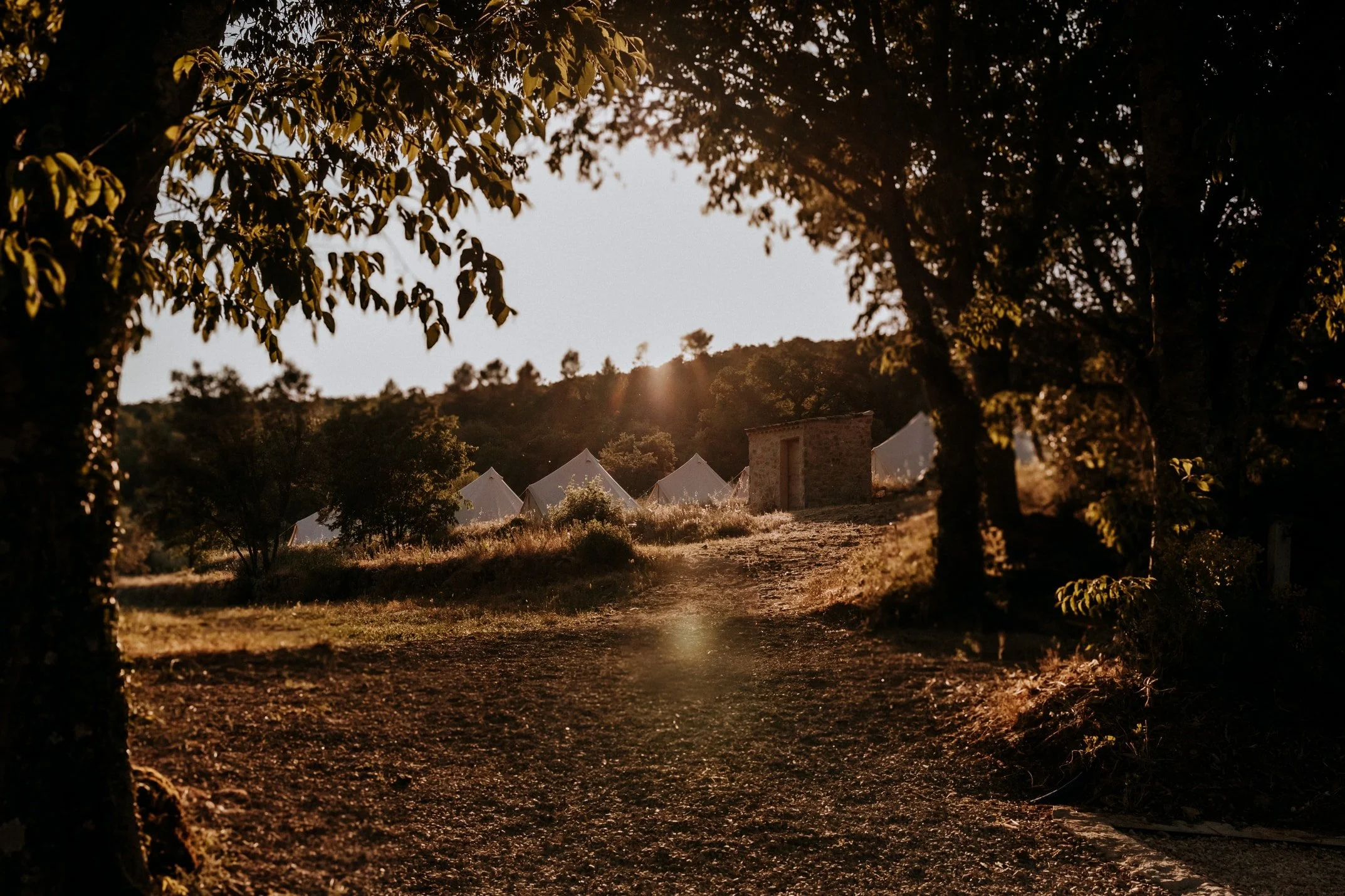 Mariage-2025-07-06-Nahtalie et Mathieu-410 (172)-nano.jpg