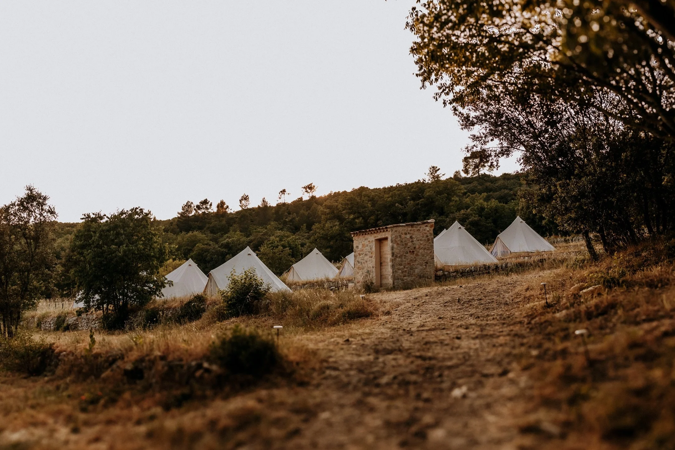 Mariage-2025-07-06-Nahtalie et Mathieu-410 (181)-nano.jpg