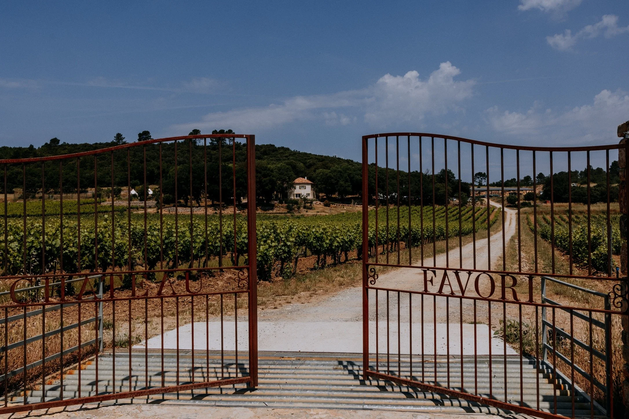 Mariage-2025-07-06-Nahtalie et Mathieu-3-nano - Copie.jpg